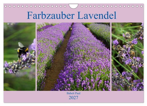 Farbzauber Lavendel (Wandkalender 2027 DIN A4 quer), CALVENDO Monatskalender