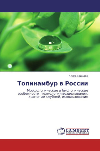 Topinambur w Rossii