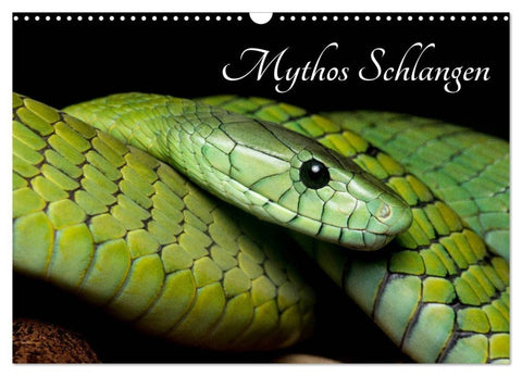 Mythos Schlangen (Wandkalender 2027 DIN A3 quer), CALVENDO Monatskalender