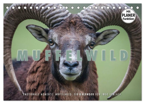 Emotionale Momente: Muffelwild. (Tischkalender 2026 DIN A5 quer), CALVENDO Monatskalender