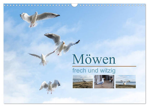 Möwen frech und witzig (Wandkalender 2026 DIN A3 quer), CALVENDO Monatskalender