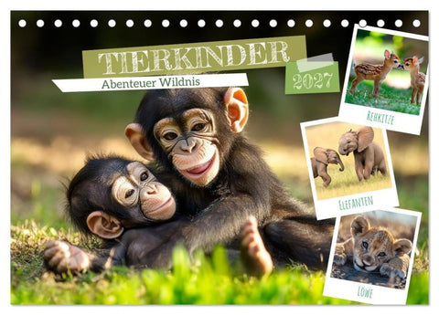 TIERKINDER Abenteuer Wildnis (Tischkalender 2027 DIN A5 quer), CALVENDO Monatskalender