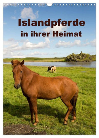 Islandpferde in ihrer Heimat (Wandkalender 2027 DIN A3 hoch), CALVENDO Monatskalender