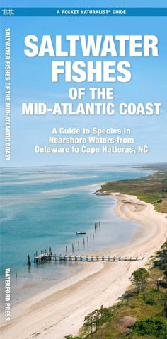 Saltwater Fishes of the Mid-Atlantic Coast