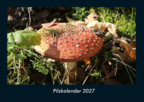 Pilzkalender 2027 Fotokalender DIN A4
