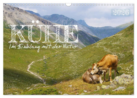 Kühe im Einklang mit der Natur (Wandkalender 2026 DIN A3 quer), CALVENDO Monatskalender