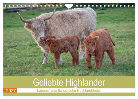 Geliebte Highlander (Wandkalender 2027 DIN A4 quer), CALVENDO Monatskalender