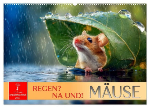 Regen? Na und! Mäuse (Wandkalender 2027 DIN A2 quer), CALVENDO Monatskalender