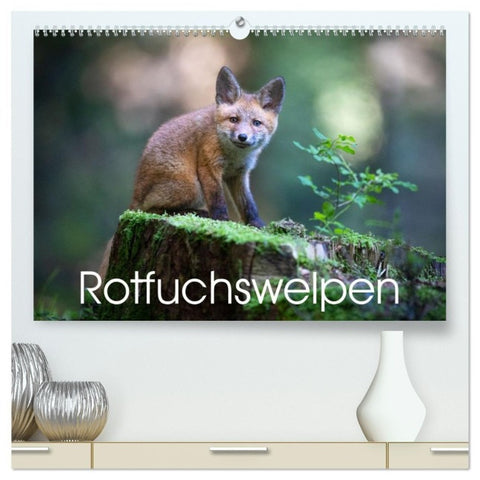Rotfuchswelpen (hochwertiger Premium Wandkalender 2027 DIN A2 quer), Kunstdruck in Hochglanz