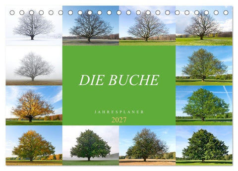 Die Buche: Jahresplaner 2027 (Tischkalender 2027 DIN A5 quer), CALVENDO Monatskalender