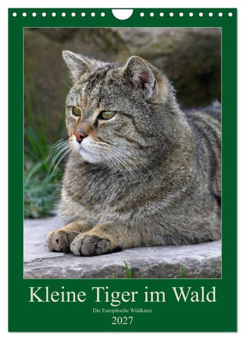Kleine Tiger im Wald (Wandkalender 2027 DIN A4 hoch), CALVENDO Monatskalender