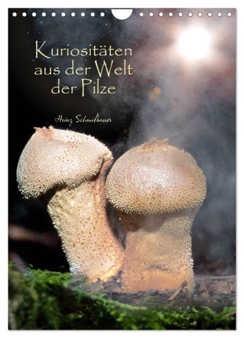 Kuriositäten aus der Welt der Pilze (Wandkalender 2027 DIN A4 hoch), CALVENDO Monatskalender