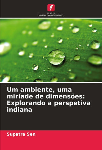 Um ambiente, uma miríade de dimensões: Explorando a perspetiva indiana