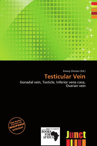Testicular Vein