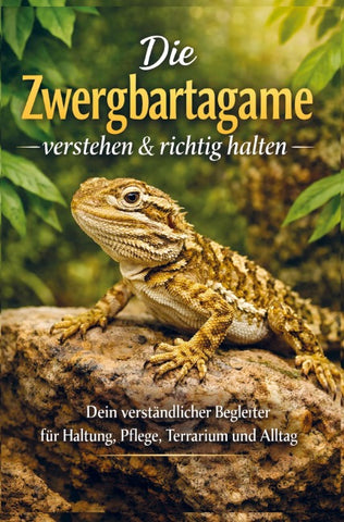 Die Zwergbartagame verstehen & richtig halten