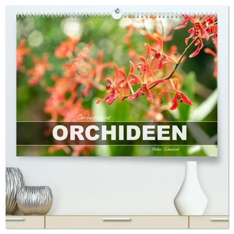Orchidaceae - Orchideen (hochwertiger Premium Wandkalender 2027 DIN A2 quer), Kunstdruck in Hochglanz