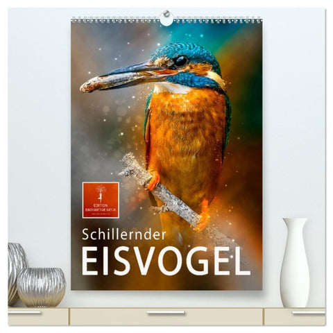 Schillernder Eisvogel (hochwertiger Premium Wandkalender 2026 DIN A2 hoch), Kunstdruck in Hochglanz