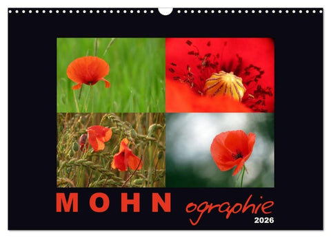 MOHNographie (Wandkalender 2026 DIN A3 quer), CALVENDO Monatskalender