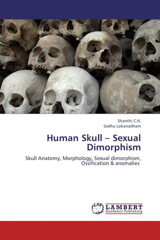 Human Skull - Sexual Dimorphism