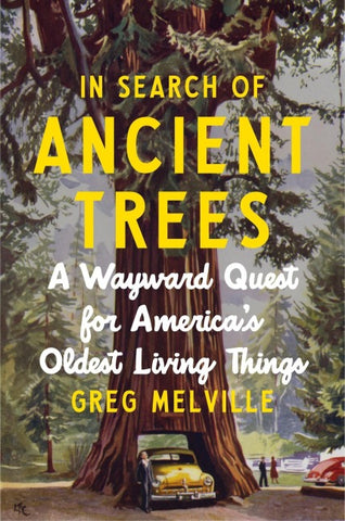 In Search of Ancient Trees
