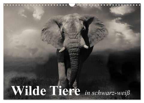 Wilde Tiere in schwarz-weiß (Wandkalender 2027 DIN A3 quer), CALVENDO Monatskalender