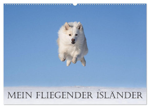 Mein fliegender Isländer (Wandkalender 2027 DIN A2 quer), CALVENDO Monatskalender