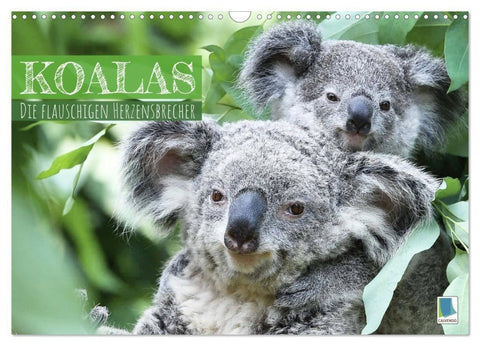 Koalas: die flauschigen Herzensbrecher (Wandkalender 2027 DIN A3 quer), CALVENDO Monatskalender