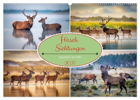 Hirsch Sichtungen (Wandkalender 2027 DIN A2 quer), CALVENDO Monatskalender