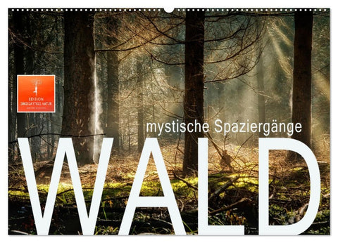 Wald - mystische Spaziergänge (Wandkalender 2026 DIN A2 quer), CALVENDO Monatskalender