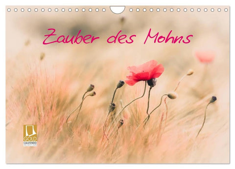 Zauber des Mohns (Wandkalender 2026 DIN A4 quer), CALVENDO Monatskalender