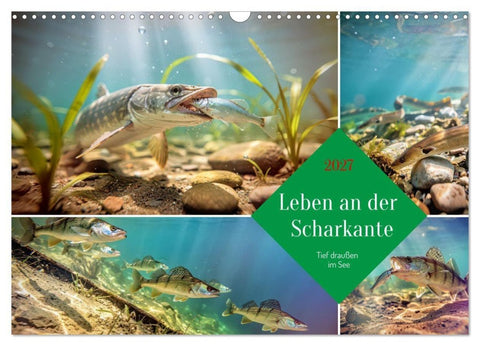 Leben an der Scharkante (Wandkalender 2027 DIN A3 quer), CALVENDO Monatskalender