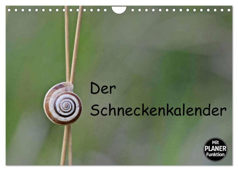 Der Schneckenkalender (Wandkalender 2026 DIN A4 quer), CALVENDO Monatskalender