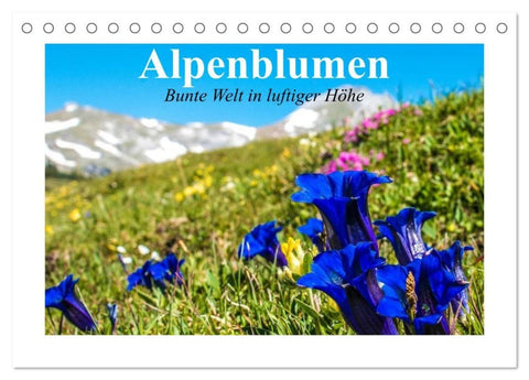 Alpenblumen. Bunte Welt in luftiger Höhe (Tischkalender 2027 DIN A5 quer), CALVENDO Monatskalender