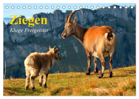 Ziegen. Kluge Freigeister (Tischkalender 2026 DIN A5 quer), CALVENDO Monatskalender