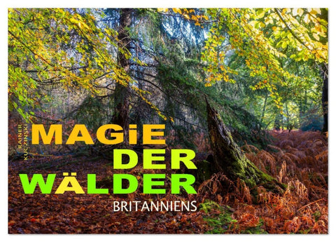 Magie der Wälder Britanniens (Tischkalender 2026 DIN A5 quer), CALVENDO Monatskalender