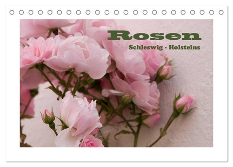 Rosen Schleswig-Holsteins (Tischkalender 2027 DIN A5 quer), CALVENDO Monatskalender
