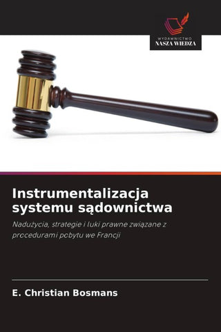 Instrumentalizacja systemu s¿downictwa