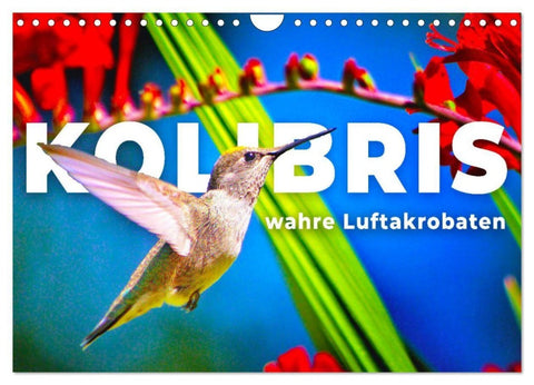 Kolibris - wahre Luftakrobaten (Wandkalender 2027 DIN A4 quer), CALVENDO Monatskalender