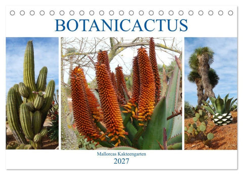 BOTANICACTUS Mallorcas Kakteengarten (Tischkalender 2027 DIN A5 quer), CALVENDO Monatskalender