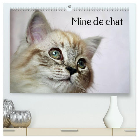Mine de chat (Calendrier mural haut de gamme 2027 DIN A2 vertical), CALVENDO calendrier mensuel