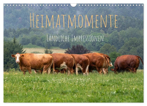 Heimatmomente - Ländliche Impressionen (Wandkalender 2027 DIN A3 quer), CALVENDO Monatskalender