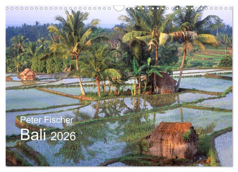 Peter Fischer - Bali 2026 (Wandkalender 2026 DIN A3 quer), CALVENDO Monatskalender