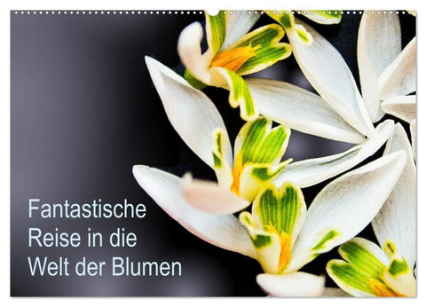 Fantastische Reise in die Welt der Blumen (Wandkalender 2027 DIN A2 quer), CALVENDO Monatskalender