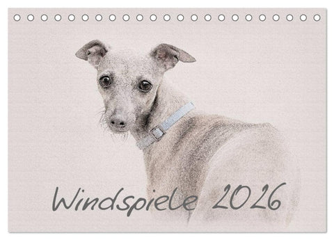 Windspiele 2026 (Tischkalender 2026 DIN A5 quer), CALVENDO Monatskalender