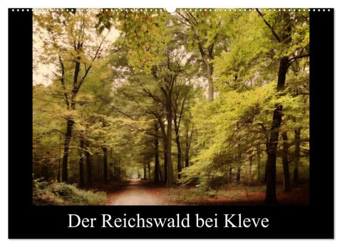 Der Reichswald bei Kleve (Wandkalender 2027 DIN A2 quer), CALVENDO Monatskalender