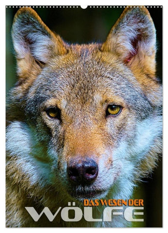 Das Wesen der Wölfe (Wandkalender 2027 DIN A2 hoch), CALVENDO Monatskalender