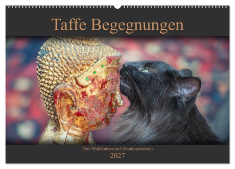Taffe Begegnungen-Drei Waldkatzen auf Abenteuerreisen (Wandkalender 2027 DIN A2 quer), CALVENDO Monatskalender