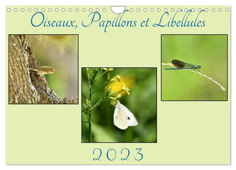 Oiseaux, Papillons et Libellules (Calendrier mural 2027 DIN A4 vertical), CALVENDO calendrier mensuel
