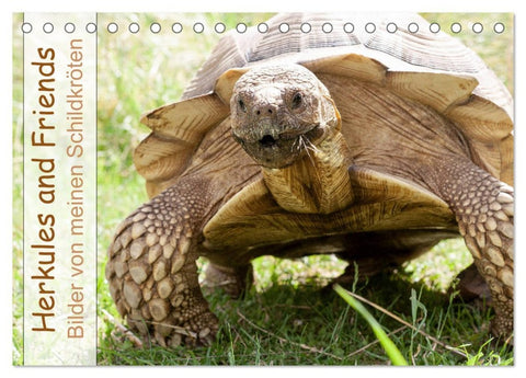 Herkules and Friends (Tischkalender 2026 DIN A5 quer), CALVENDO Monatskalender