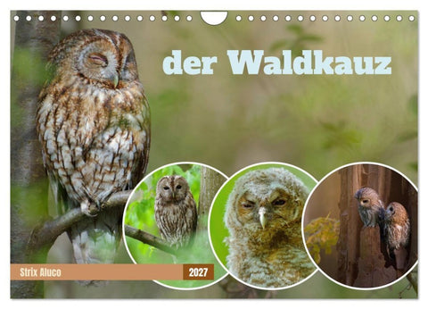 der Waldkauz - Strix Aluco (Wandkalender 2027 DIN A4 quer), CALVENDO Monatskalender